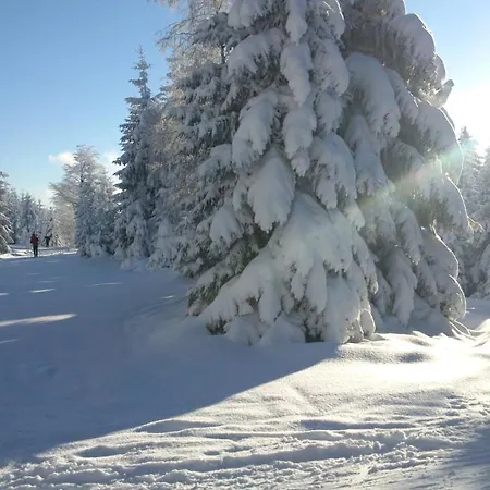 Horska Hubert Inn 3*