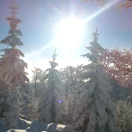 Penzion Horska Hubert 3*