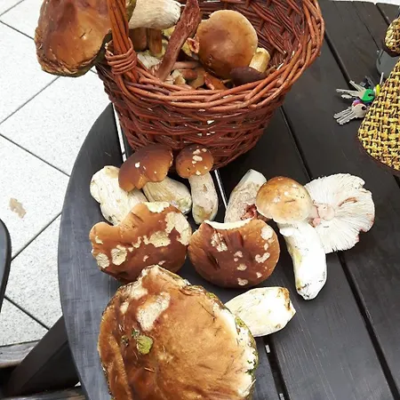 Penzion Horska Hubert 3*
