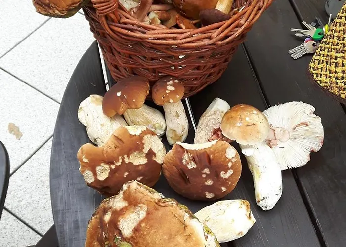 Penzion Horska Hubert 3*
